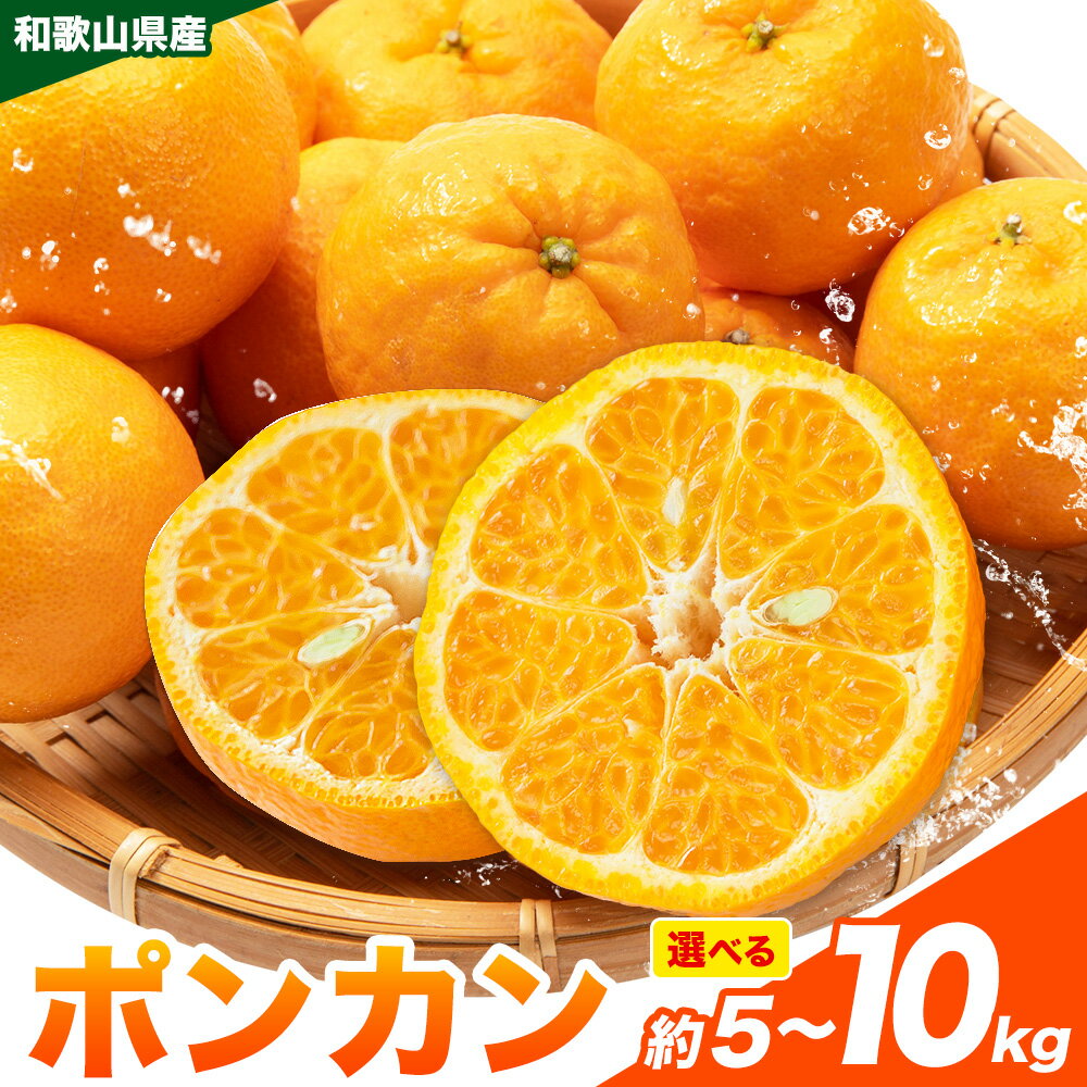 ポンカン 和歌山県産 ポンカン 選べる内容量 約5kg 約10kg マルツネ農園《1月中旬-3月下旬頃出荷》 和歌山県 日高川町 ポンカン 旬 果物 フルーツ 柑橘 産地直送 送料無料