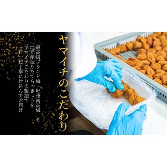 【ふるさと納税】紀州名産　金山寺みそ | 和歌山 おかず味噌 味噌 お取り寄せグルメ みそ 調味料 お土産 特産品 ディップ 健康 美容 ご飯のお供 ご飯のおとも ごはんのおとも ごはんのお供 ご飯の友 ごはんのとも 御飯の友 ごはんの友 プレゼント ギフト 贈り物 サムネイル3