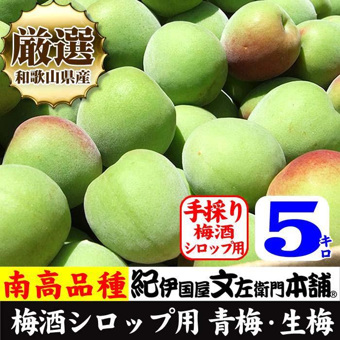 南高梅【緑】5kg ■特大サイズ 梅酒用 フレッシュ青梅（生梅）／紀伊国屋文左衛門本舗