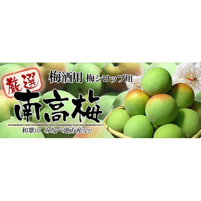 【ふるさと納税】南高梅【緑】5kg ■特大サイズ 梅酒用 フレッシュ青梅（生梅）／紀伊国屋文左衛門本舗 サムネイル2