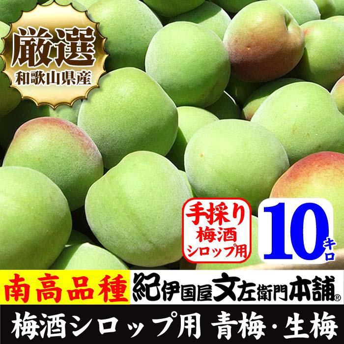 南高梅【緑】10kg 大サイズ 厳選南高梅 梅酒用 フレッシュ青梅（生梅）／紀伊国屋文左衛門本舗