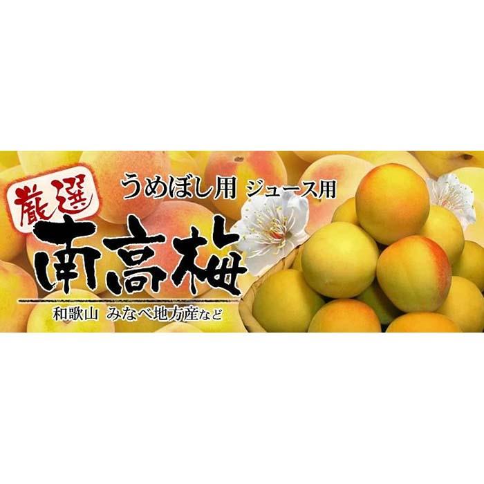 【ふるさと納税】南高梅【完熟】黄色3kg ■特大サイズ 梅干用フレッシュ青梅（生梅）／紀伊国屋文左衛門本舗 サムネイル2