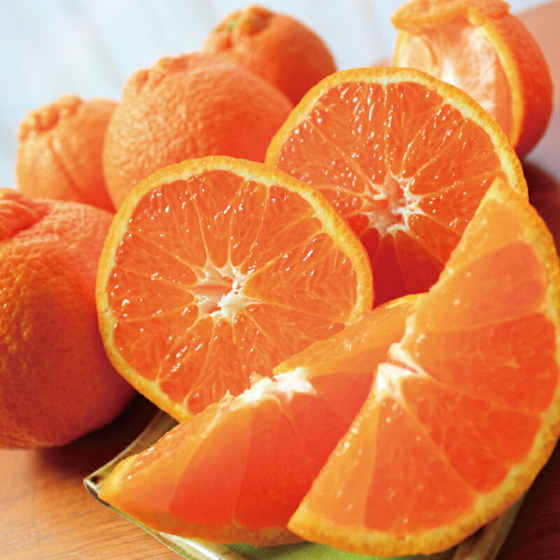 【ふるさと納税】果肉プリプリ♪ 完熟紀州デコ(不知火) 【選べる容量】 約3kg 約5kg ＜2026年2月下旬頃〜2026年3月中旬頃発送予定＞（お届け日指定不可）/ デコポン 不知火 みかん ミカン 柑橘 果物 フルーツ 果実 和歌山 人気 くだもの おすすめ 期間限定 サムネイル2