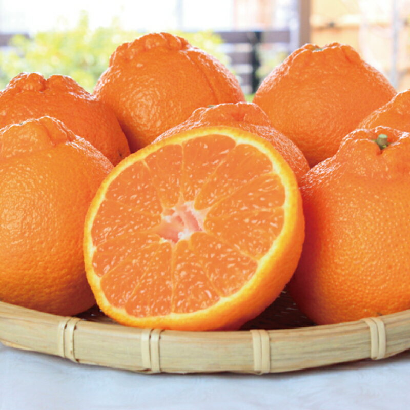 【ふるさと納税】【ご家庭用】紀州有田産 不知火(しらぬひ) 約3kg / 約6kg / 約8.5kg 訳あり 【予約】※2026年2月中旬頃〜2026年3月中旬頃に順次発送予定(お届け日指定不可) デコポン 不知火 みかん ミカン 柑橘 果物 フルーツ オレンジ くだもの サムネイル2