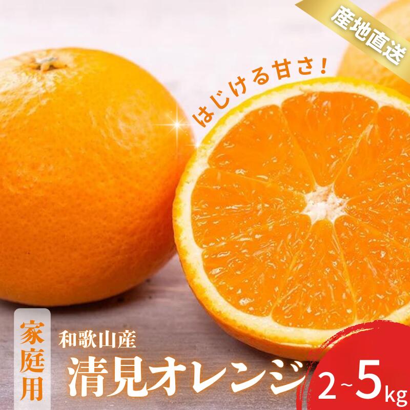 【先行予約】 清見 オレンジ 訳あり 家庭用 和歌山 有田 S～2Lサイズ 大きさお任せ 【選べる容量】 2kg 3kg 5kg 【2月中旬～3月下旬頃に順次発送】/ みかん フルーツ 果物 くだもの 蜜柑 柑橘 オレンジ おれんじ