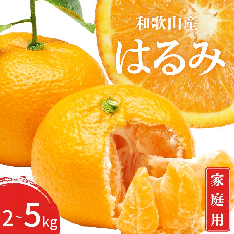 【先行予約】訳あり 家庭用 はるみ 和歌山 有田 S〜3Lサイズ 大きさお任せ 2kg / 3kg / 5kg 【1月下旬〜3月下旬までに順次発送予定】 / みかん フルーツ 果物 くだもの 蜜柑 柑橘