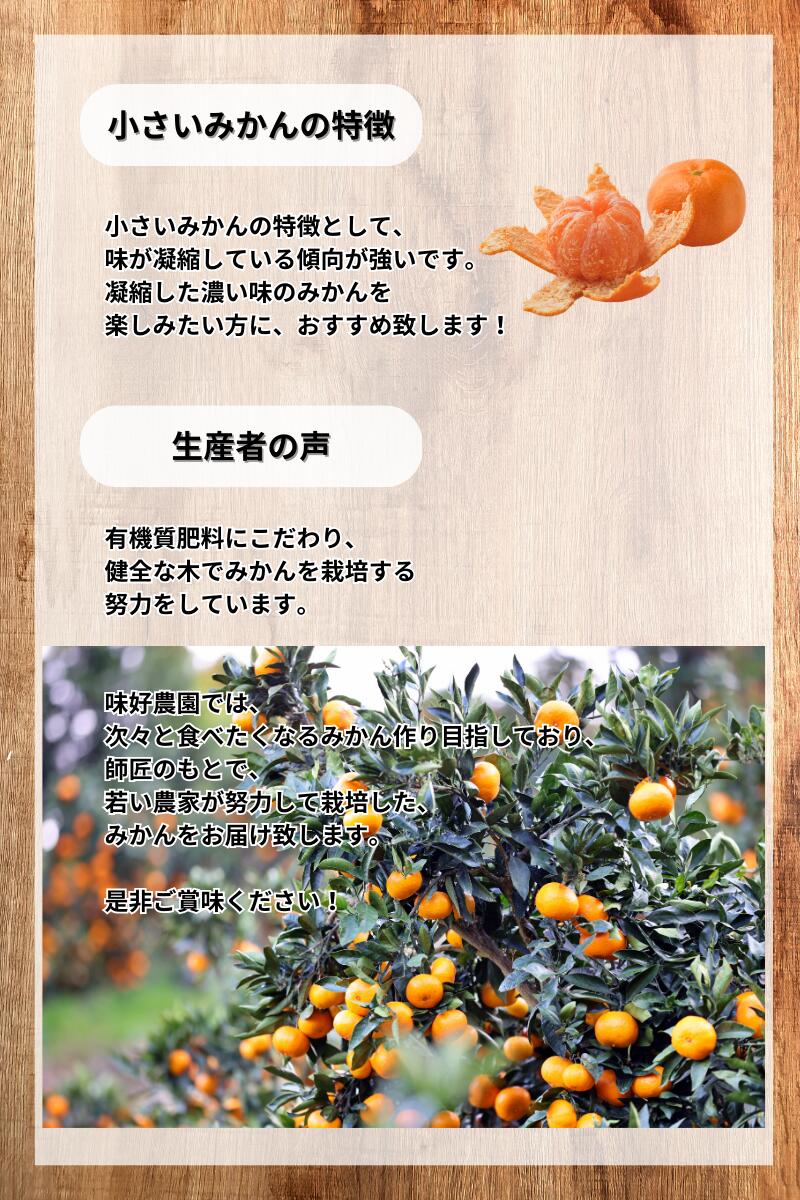 【ふるさと納税】 温州みかん 「小粒っこ」 2kg 4kg 10kg※箱込み ※秀優混合 【2S～3Sサイズおまかせ】【2025年10月中旬～2026年1月下旬までに順次発送】(極早生・早生・中生・晩稲)＜味好農園＞/ 温州 みかん 小玉 蜜柑 柑橘 みかん 極早生 早生 中生 小粒 果物 フルーツ サムネイル3