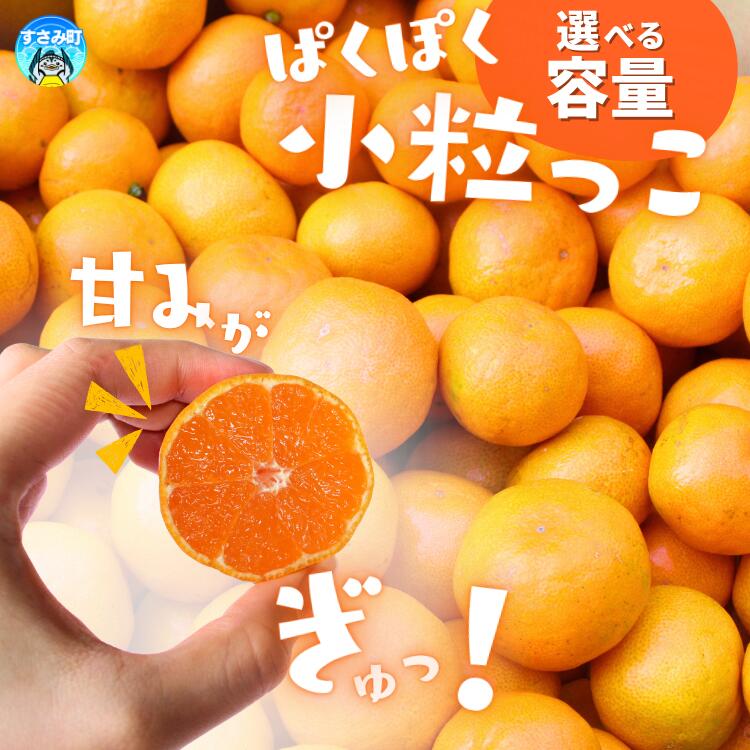 温州みかん 「小粒っこ」 2kg 4kg 10kg※箱込み ※秀優混合 【2S～3Sサイズおまかせ】【2025年10月中旬～2026年1月下旬までに順次発送】(極早生・早生・中生・晩稲)＜味好農園＞/ 温州 みかん 小玉 蜜柑 柑橘 みかん 極早生 早生 中生 小粒 果物 フルーツ