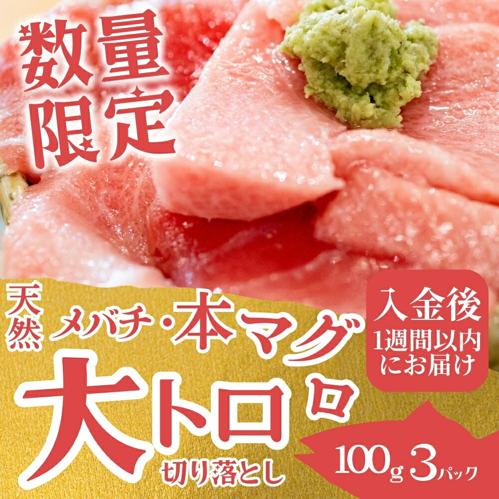 【ふるさと納税】まぐろ 【！限定 大トロ 登場中】切り落とし 便利&高評価★★★★★ 天然生マグロ 家庭用 【選べる容量】700g 1.4kg 鮪 ブロック 不揃い 海鮮丼 寿司 手巻き寿司 漬け丼 海鮮 小分け 魚介 個包装 真空包装 刺身 和歌山 すさみ町 - 画像3