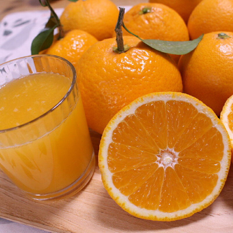 【ふるさと納税】 清美オレンジ 先行予約 ＼ みかんの名産地 和歌山県産／ 農家直送 完熟清見オレンジ 5kg (M〜2Lサイズおまかせ) ひとつひとつ手選別で厳選 【2026年3月中旬～4月下旬頃発送予定】 オレンジ みかん 和歌山 サムネイル2