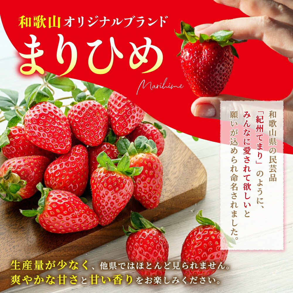 【ふるさと納税】 【先行予約】 まりひめ いちご 12粒～15粒入り 【選べる容量】500g 1kg2026年1月中旬～2026年3月中旬頃に順次発送予定（お届け日指定不可）/ 苺 和歌山 フルーツ 果物 くだもの サムネイル3