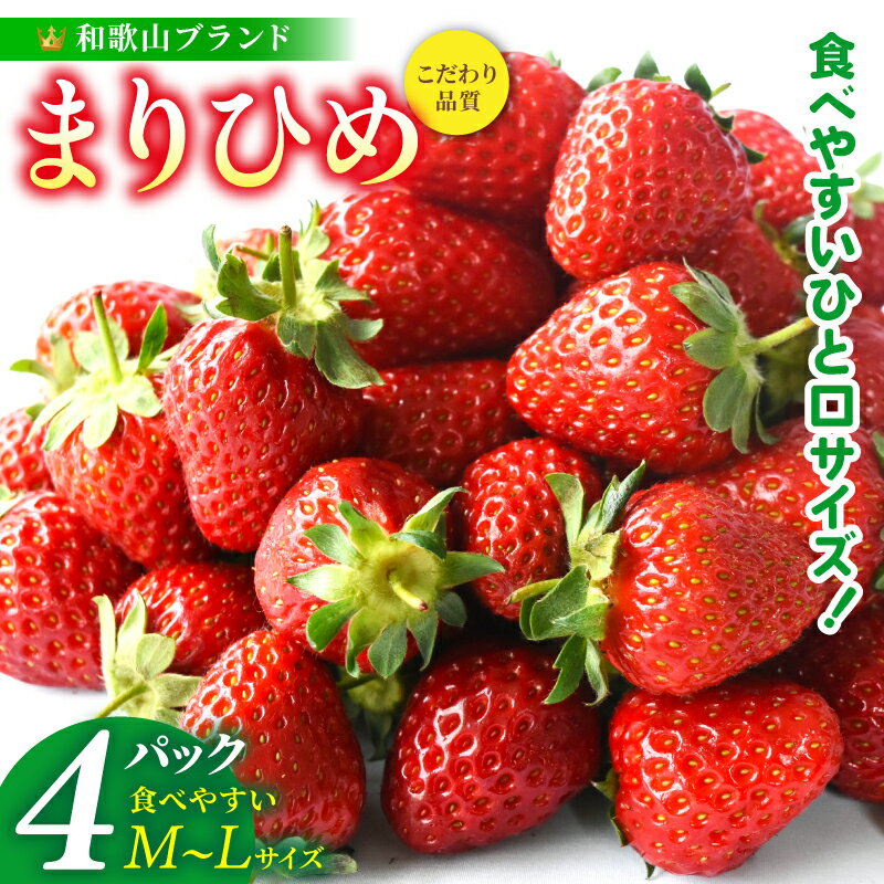 【先行予約】 まりひめイチゴ4パック 食べやすいひと口サイズ M～L（15粒～20粒入×4パック）【2026年1月初旬～3月下旬頃に順次発送】/ 苺 和歌山 フルーツ 果物 くだもの