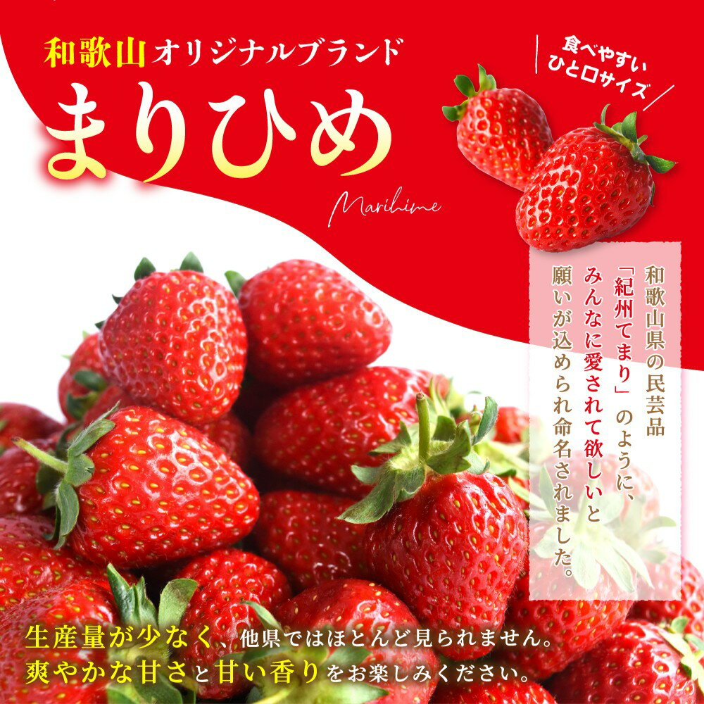 【ふるさと納税】 【先行予約】 まりひめイチゴ4パック 食べやすいひと口サイズ M～L（15粒～20粒入×4パック）【2026年1月初旬～3月下旬頃に順次発送】/ 苺 和歌山 フルーツ 果物 くだもの サムネイル3