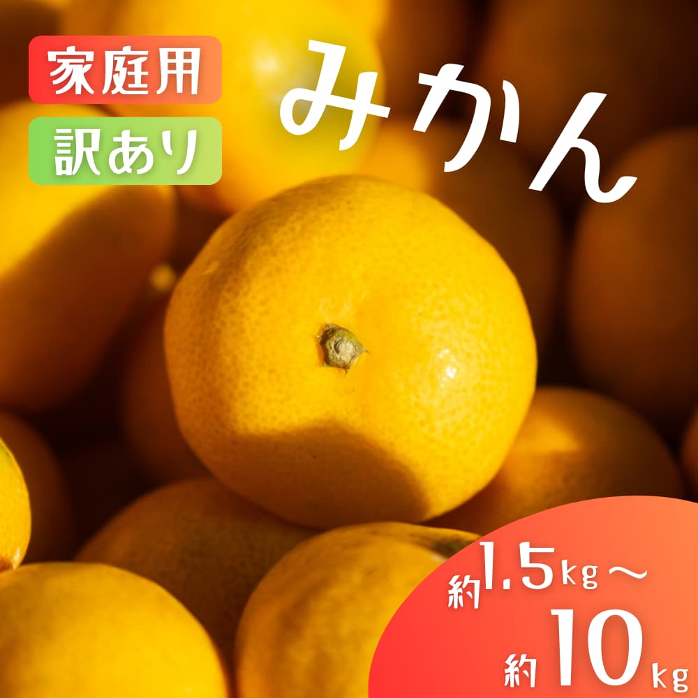 訳あり＆家庭用 みかん / 手選別 温州みかん 和歌山 甘い 【選べる容量】約1.5kg・4.5kg・6kg・8kg・10kg ※2025年11月上旬～2026年2月中旬ごろに順次発送