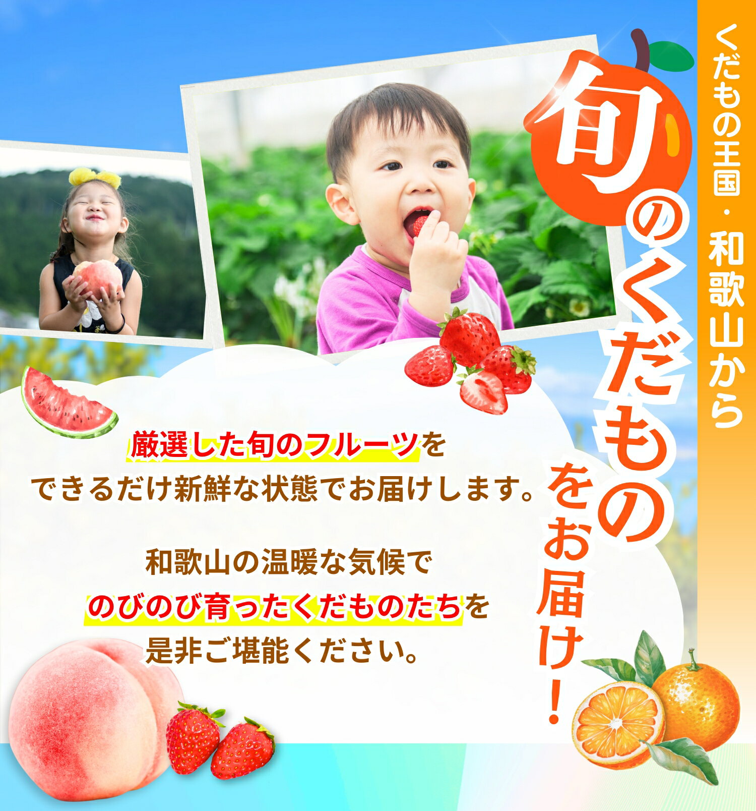 【ふるさと納税】わかやま旬のくだもの定期便 全6回【S】（配送日時指定不可）※北海道・沖縄・離島への配送不可 / 定期便 フルーツ いちご イチゴ 清見オレンジ すいか 桃 柿 みかん 6回 サムネイル3