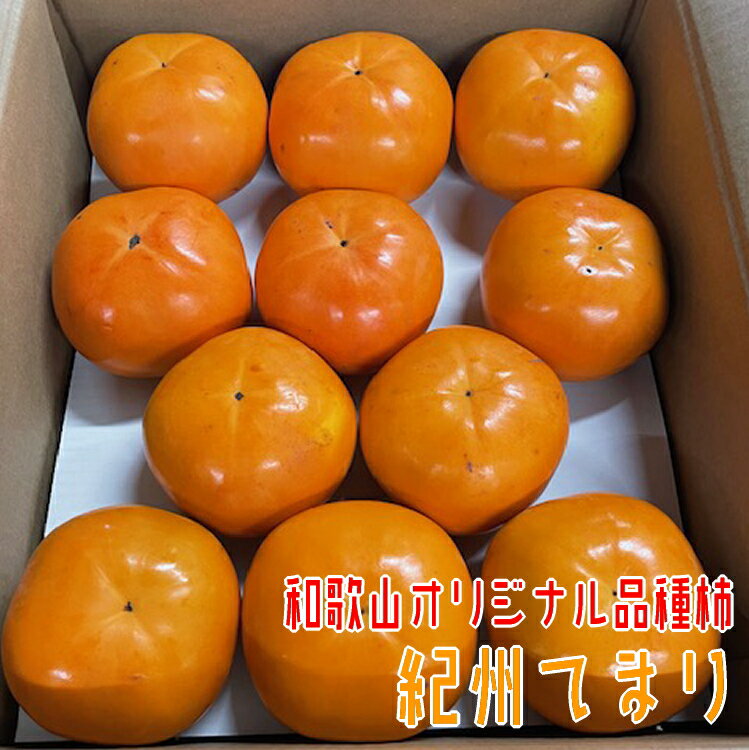 紀州てまり 22～32玉 【和歌山オリジナル品種柿】 2025年11月上旬～11月下旬頃発送予定【GO-09】 / かき 柿 カキ フルーツ 果物 くだもの
