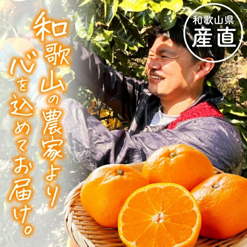 【ふるさと納税】【全4回】和歌山旬のカンキツ定期便 3・5・9・11月発送（ご家庭用）※北海道・沖縄県・離島への配送不可 / 春の柑橘 初夏の柑橘 青切り 有田みかん 完熟有田みかん フルーツ くだもの 果物 サムネイル2