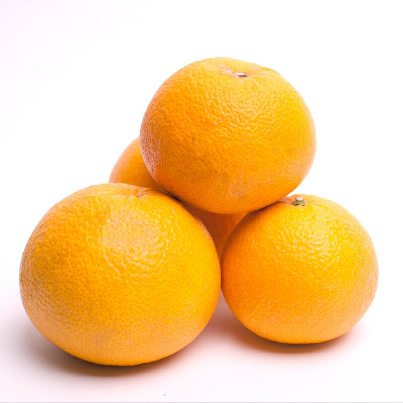 【ふるさと納税】 厳選 はっさく ＜1月より発送＞ 【先行予約】 1kg 2.5kg 5kg 7.5kg 10kg（傷み補償分）【八朔みかん】 / ハッサク みかん くだもの わかやま 和歌山 有田みかん ミカン 果物 おすすめ 柑橘 フルーツ 農家直送 サムネイル2