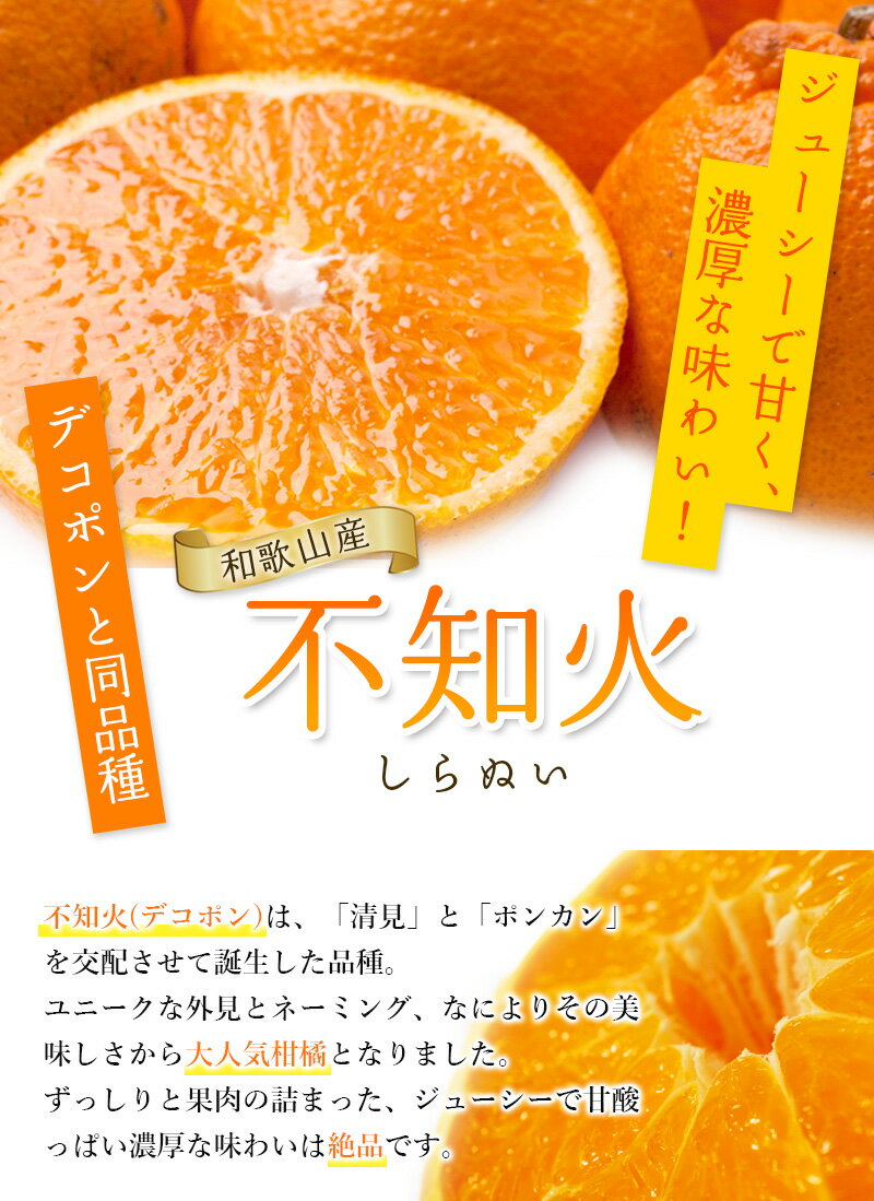 【ふるさと納税】 訳あり 不知火 【デコポンと同品種】 家庭用 ファミリー層 【先行予約】 2026年2月～順次発送予定【選べる内容量】1kg 2.5kg 5kg 7.5kg 10kg / しらぬい デコポン みかん 柑橘 くだもの フルーツ オレンジ サムネイル3