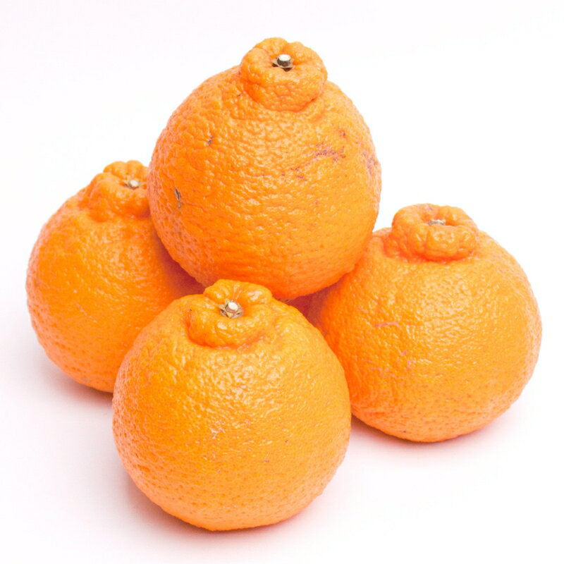 【ふるさと納税】＜先行予約＞厳選 不知火 選べる容量 1kg 2.5kg 5kg 7.5kg 10kg【デコポンと同品種・人気の春みかん】＜2月より発送＞ ※北海道・沖縄・離島への配送不可 / しらぬい デコポン みかん ミカン 柑橘 果物 くだもの フルーツ 果実 和歌山 有田みかん サムネイル3