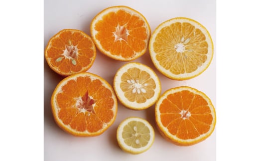 【ふるさと納税】家庭用 柑橘詰合せ 1kg / 2.5kg / 5kg / 7.5kg / 10kg 【訳あり・わけあり】【有田の春みかん詰め合わせ・フルーツ詰め合せ・オレンジつめあわせ】【光センサー選別】＜2026年1月〜4月下旬ごろに順次発送＞ / みかん セット 有田みかん 柑橘 果物 フルーツ サムネイル2