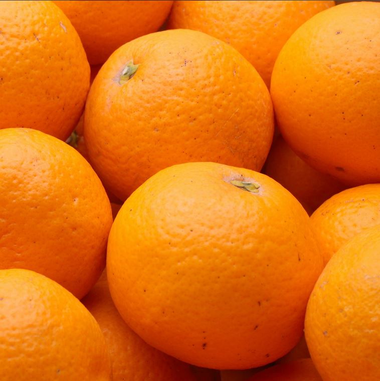 【ふるさと納税】＜2月より発送＞厳選 清見オレンジ 1kg 2.5kg 5kg 7.5kg 10kg （傷み補償分）【光センサー食頃出荷】【樹上完熟きよみオレンジ・清見タンゴール・清美】＜2026年2月～3月下旬ごろに順次発送＞ ※北海道・沖縄への配送不可 / オレンジ 清見 みかん くだもの サムネイル2