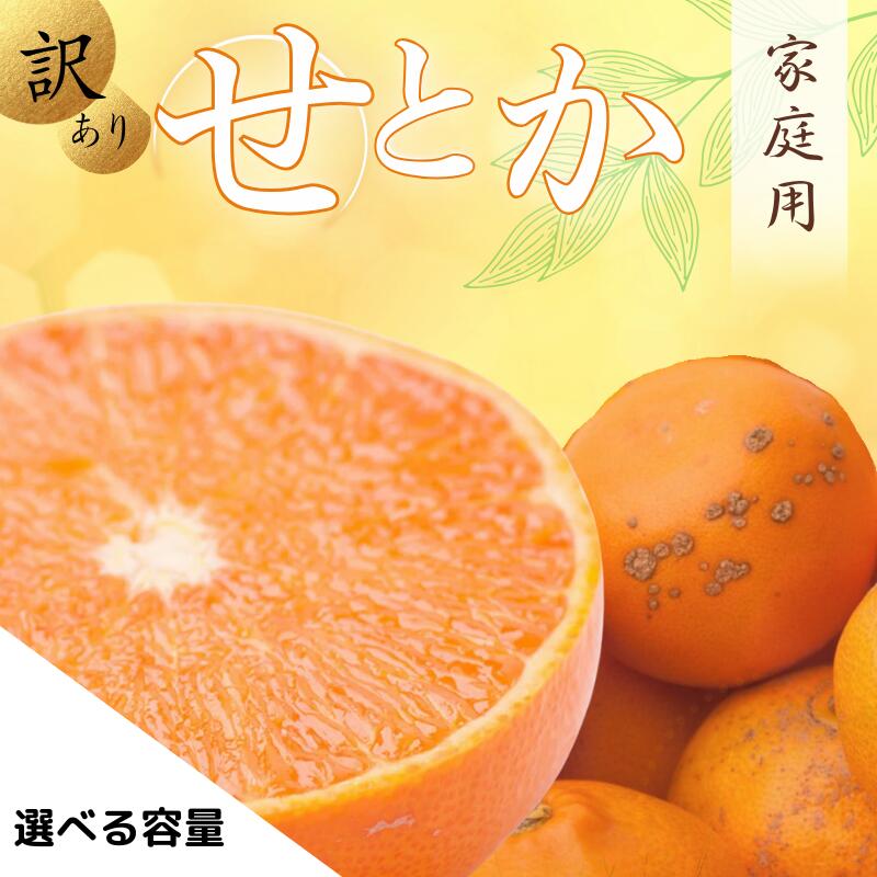 ＜2月より発送＞家庭用 せとか 選べる容量 1kg 2.5kg 5kg 7.5kg 10kg【柑橘・春みかんの王様】【わけあり・訳あり】【光センサー選果・食べ頃出荷】/ みかん 果物 柑橘 フルーツ 和歌山 有田みかん セトカ