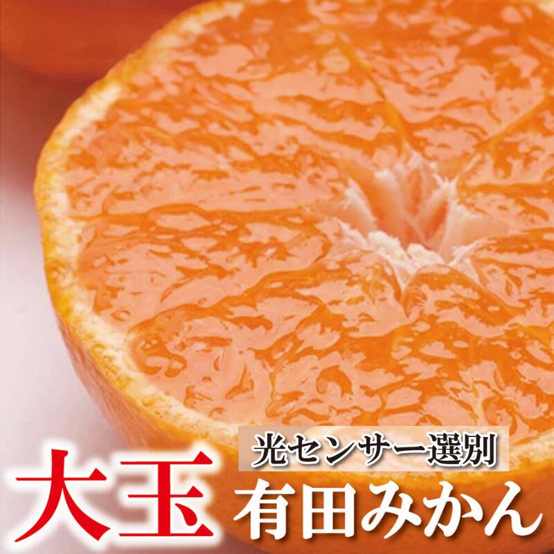 家庭用 大きな有田みかん (2L以上混合) 【先行予約】【選べる容量】2.5kg 5kg 7.5kg 10kg【わけあり・訳あり】 【光センサー選果】 ＜2025年11月より順次発送＞ / 和歌山 オレンジ 果物 フルーツ 果汁 柑橘 みかん ミカン 有田みかん 果実 大玉 訳アリ