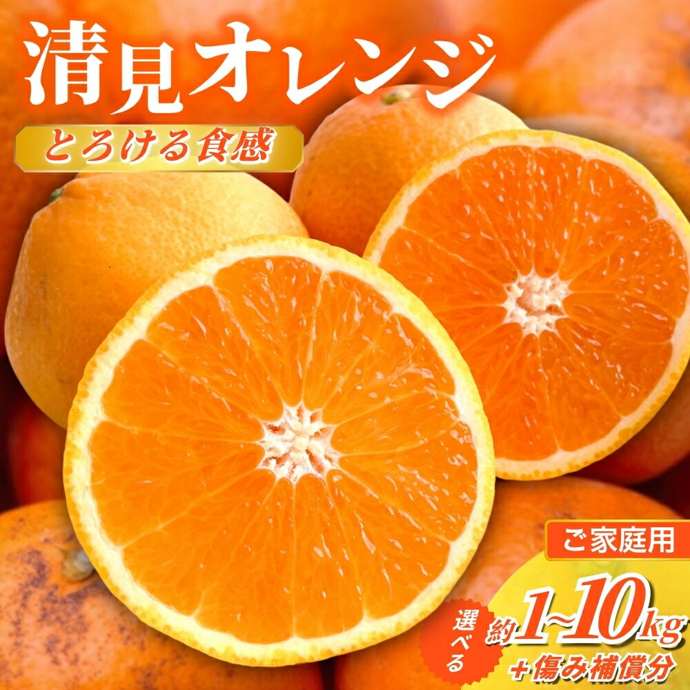 ＜2月より発送＞家庭用 清見オレンジ 1kg 2.5kg 5kg 7.5kg 10kg （傷み補償分付）【光センサー食頃出荷】【樹上完熟きよみオレンジ・清見タンゴール・清美】【わけあり・訳あり】＜2026年2月～3月下旬ごろに順次発送＞ ※北海道・沖縄・離島への配送不可