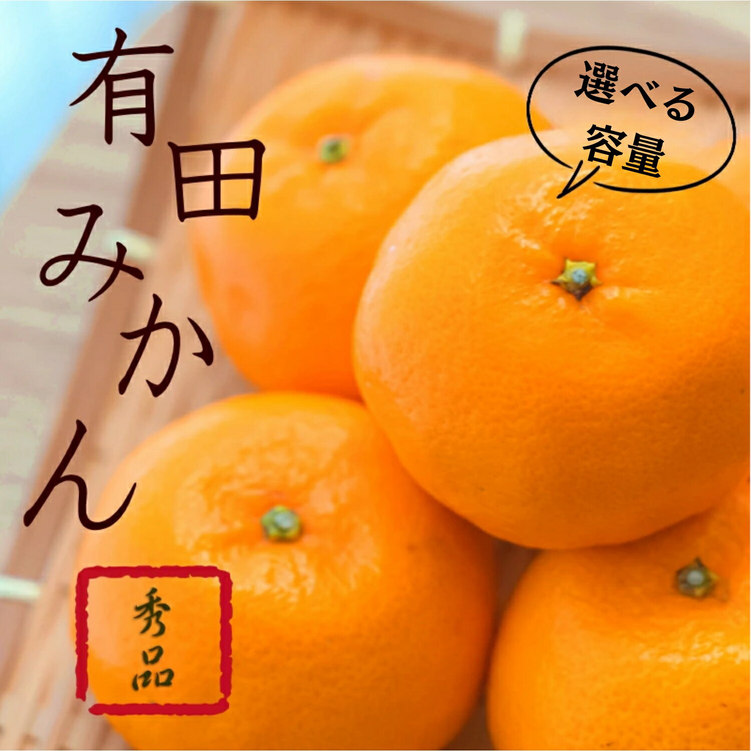 紀州有田みかん 秀品 【選べる容量】3kg 5kg 10kg サイズおまかせ (L・М・S) / みかん ミカン くだもの 果物 フルーツ オレンジ 和歌山 有田 有田みかん