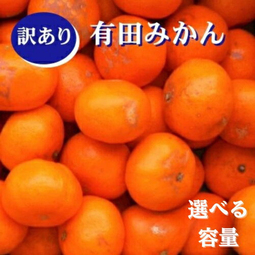 紀州有田みかん 【選べる容量】約5kg 約10kg 訳あり キズ 御家庭用 サイズ混合 / みかん 有田みかん ミカン 果物 くだもの 柑橘 家庭用 訳アリ 訳あり品 有田