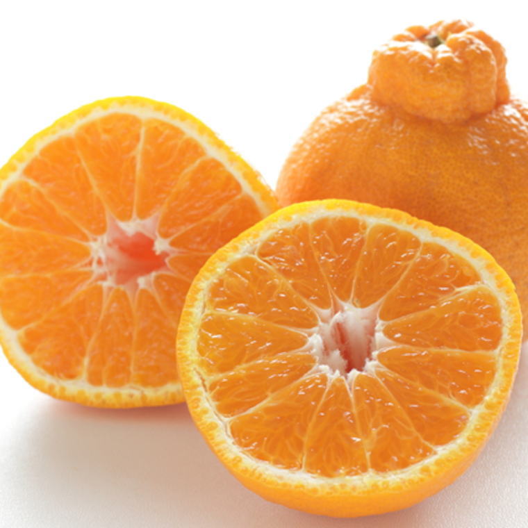 【ふるさと納税】【先行予約】【濃厚】有田産不知火約4kg 【選べるサイズ】※2026年2月中旬～2026年3月下旬頃発送予定（お届け日指定不可） サムネイル2