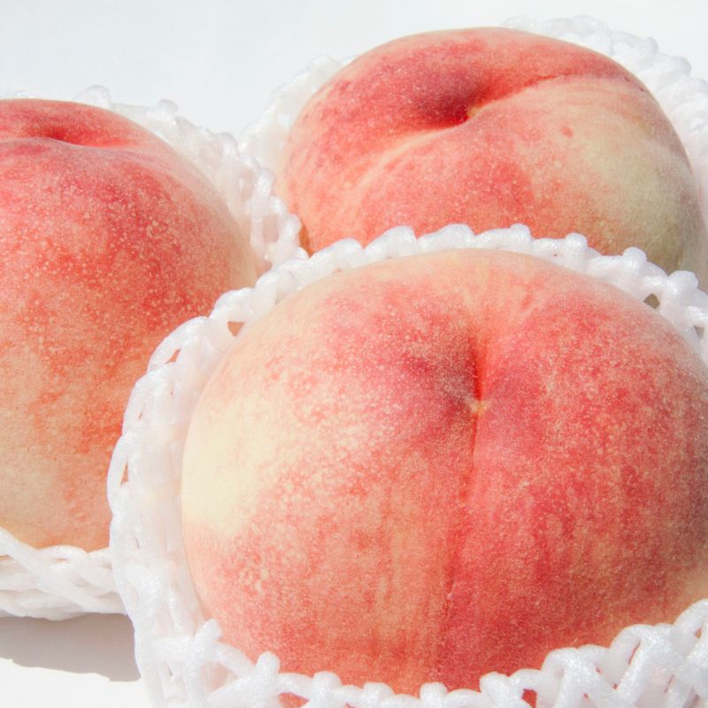 【ふるさと納税】 和歌山の桃 秀品　【選べる容量】※2026年6月下旬～2026年8月上旬頃順次発送 / もも フルーツ 果物 甘い ジューシー くだもの お取り寄せ 夏ギフト 人気 贈り物 贈答 プレゼント お中元 和歌山 モモ 【選べる容量】 【産直・人気の特産品】 サムネイル2