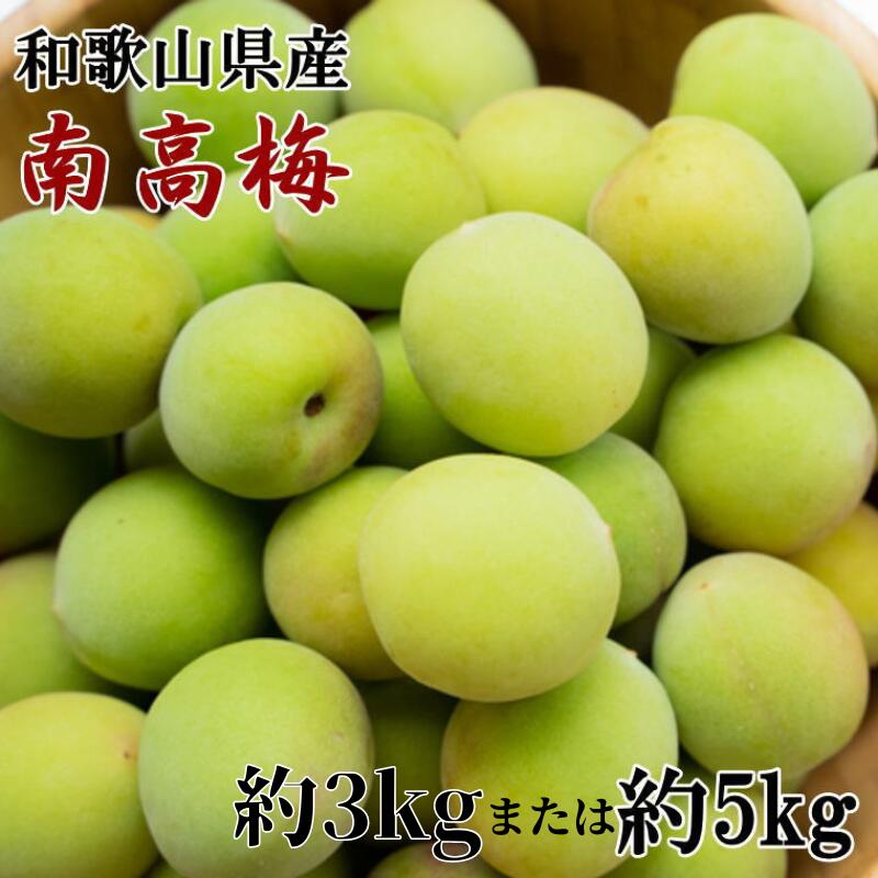 【和歌山名産】南高梅 【選べる容量】 【約3kg 約5kg】（サイズ混合）※2026年6月上旬～2026年6月下旬頃順次発送（お届け日指定不可）/ 梅 梅干し 南高梅 和歌山 青梅 梅シロップ 梅ジュース 梅仕事