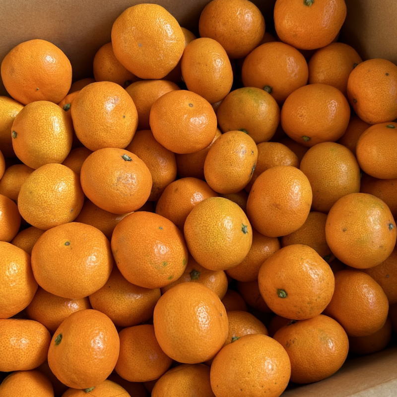 【ふるさと納税】 [秀品] 和歌山有田みかん 【選べる容量】約5kg 約9kg 約10kg ※2025年11月中旬～2026年1月中旬頃に順次発送予定(お届け日指定不可) / みかん 有田みかん 柑橘 フルーツ 果物 和歌山 オレンジ ミカン 人気 予約販売 おすすめ柑橘 くだもの サムネイル3