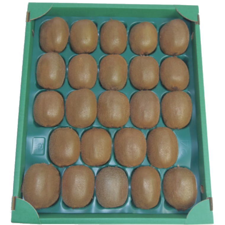 【ふるさと納税】和歌山の下津で採れたキウイフルーツ約3.6kg（玉数おまかせ・秀品）※2026年1月中旬〜3月上旬頃に発送予定（お届け日指定不可） サムネイル2