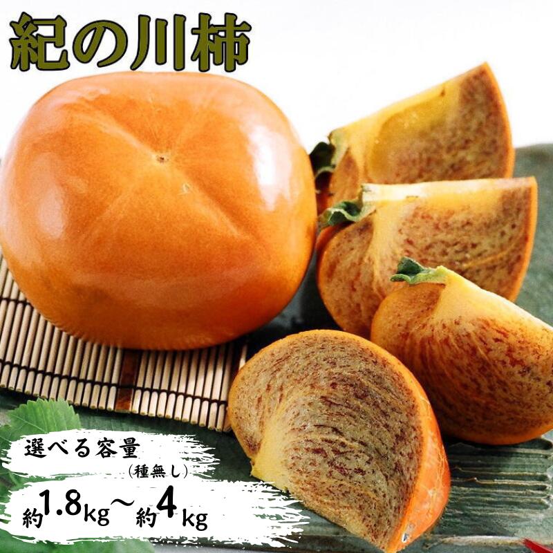 【先行予約】【希少】紀の川柿(種無し) 秀品 【選べる容量】 約1.8～2kg 約3.5～4kg ※2026年10月上旬～2026年11月中旬頃に順次発送（お届け日指定不可）/ 柿 種無し柿 かき カキ 和歌山 フルーツ 果物 たねなし柿