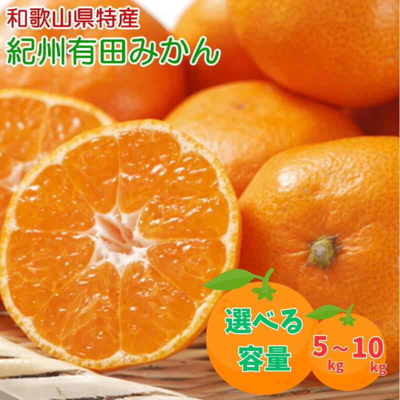 [秀品] 和歌山有田みかん 【選べる容量】約5kg 約9kg 約10kg ※2025年11月中旬～2026年1月中旬頃に順次発送予定(お届け日指定不可) / みかん 有田みかん 柑橘 フルーツ 果物 和歌山 オレンジ ミカン 人気 予約販売 おすすめ柑橘 くだもの