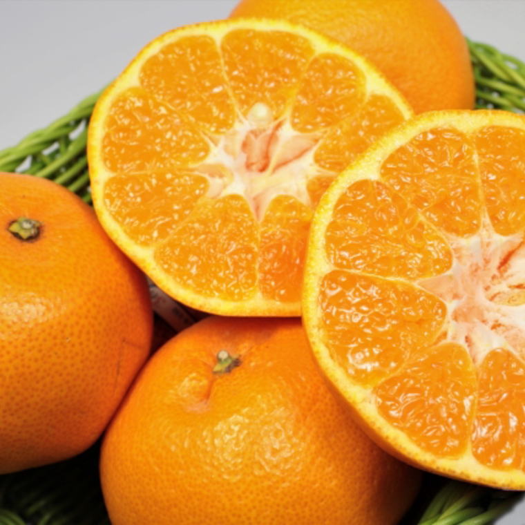 【ふるさと納税】【厳選・濃厚】紀州有田産のはるみ 約5kg (Lサイズ) 【先行予約】 ※2026年1月下旬～2026年2月中旬頃に順次発送予定（お届け日指定不可）/ はるみみかん はるみ みかん ミカン オレンジ 和歌山 有田みかん 有田 サムネイル3