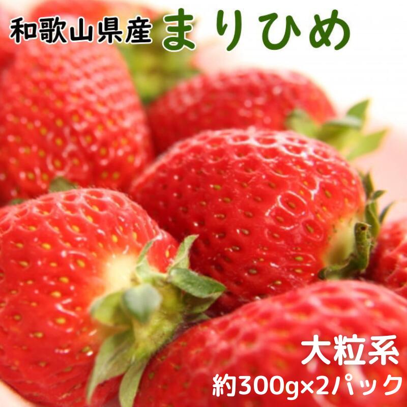 いちご 和歌山県産ブランドいちご「まりひめ」大粒系約300g×2パック入り ※2025年12月中旬～2026年2月下旬頃順次発送（お届け日指定不可）/イチゴ 苺 フルーツ 紀州 和歌山