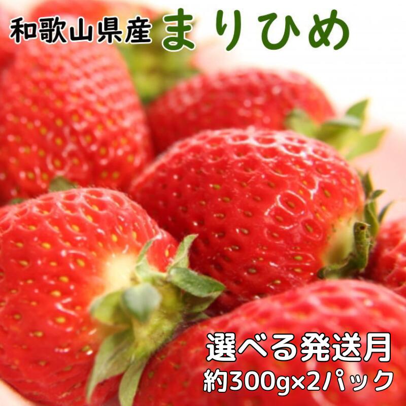 いちご 和歌山県産ブランドいちご「まりひめ」約300g×2パック入り 【選べる発送月】 【3月～5月】（お届け日指定不可）/イチゴ 苺 フルーツ 紀州 和歌山