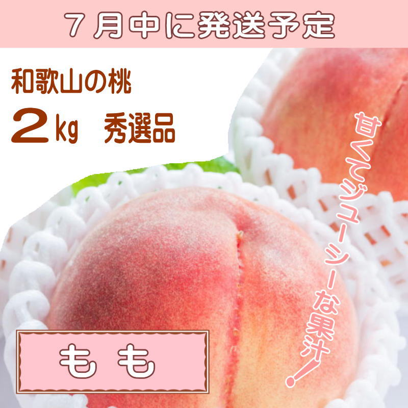 【ふるさと納税】【定期便】夏をお届け！フルーツ定期便！小玉すいか・桃・ピオーネ（全3回）/ フルーツ 果物 すいか ひとりじめ7 もも モモ ぶどう ブドウ 旬 定期便 くだもの わかやま 旬 フルーツ定期便 果物定期便 おすすめ 夏 サムネイル3