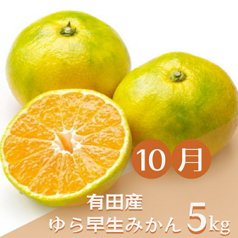 【ふるさと納税】【3か月定期便】みかんの名産地和歌山発！秋のみかん定期便♪ ゆら早生みかん・下津みかん・有田みかん / 和歌山 果物 みかん ミカン 定期便 果実 フルーツ 早生 下津　有田 サムネイル2