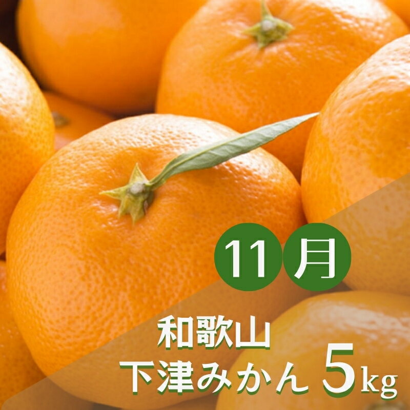 【ふるさと納税】【3か月定期便】みかんの名産地和歌山発！秋のみかん定期便♪ ゆら早生みかん・下津みかん・有田みかん / 和歌山 果物 みかん ミカン 定期便 果実 フルーツ 早生 下津　有田 サムネイル3