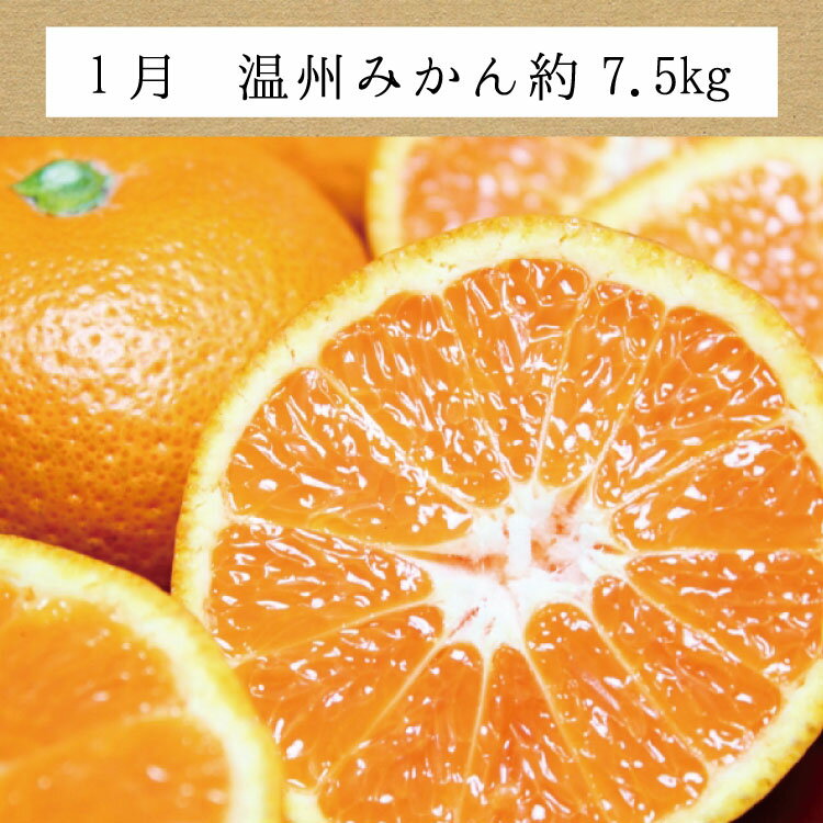 【ふるさと納税】訳ありみかんの定期便 【3か月】 / 定期便 みかん フルーツ定期便 みかん定期便 柑橘 果物定期便 果物 フルーツ オレンジ 温州みかん 不知火 清見オレンジ 訳あり サムネイル3