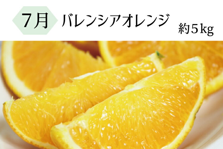 【ふるさと納税】【全3回定期便】暑い季節にお届け！果物定期便　バレンシアオレンジ・桃・柿　旬のフルーツをお届け♪ / フルーツ定期便 果物定期便 フルーツ 果物 柑橘 みかん オレンジ 柿 モモ 和歌山 おすすめ 有田みかん バレンシアオレンジ 桃 平核無柿 サムネイル2
