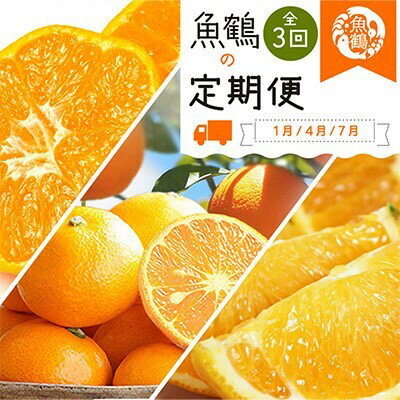 【全3回】 紀州和歌山産旬の柑橘定期便 (みかん・なつみ・バレンシア) / 定期便 フルーツ フルーツ定期便 おすすめ 和歌山 果物 くだもの バレンシア バレンシアオレンジ オレンジ なつみ みかん 有田みかん 柑橘