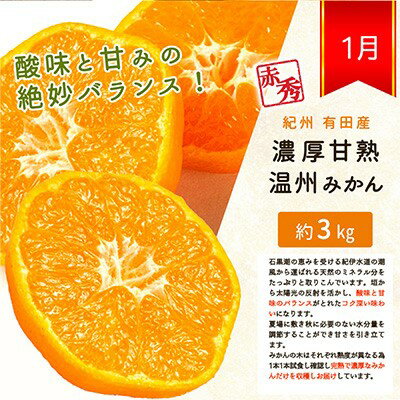 【ふるさと納税】【全3回】 紀州和歌山産旬の柑橘定期便 (みかん・なつみ・バレンシア) / 定期便 フルーツ フルーツ定期便 おすすめ 和歌山 果物 くだもの バレンシア バレンシアオレンジ オレンジ なつみ みかん 有田みかん 柑橘 サムネイル2