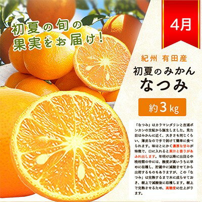 【ふるさと納税】【全3回】 紀州和歌山産旬の柑橘定期便 (みかん・なつみ・バレンシア) / 定期便 フルーツ フルーツ定期便 おすすめ 和歌山 果物 くだもの バレンシア バレンシアオレンジ オレンジ なつみ みかん 有田みかん 柑橘 サムネイル3