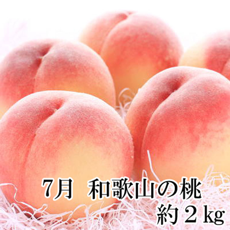 【ふるさと納税】【定期便全3回】産直・和歌山フルーツ定期便（桃・ピオーネ・有田みかん）/ フルーツ 果物 みかん もも モモ ぶどう ブドウ 旬 定期便 くだもの わかやま 旬 フルーツ定期便 果物定期便 おすすめ 夏 サムネイル2